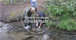 2026 Macroinvertebrate Creek Study