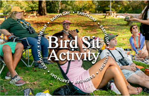 Bird Sit Activity 2026