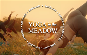 Yoga in the Meadow 2026