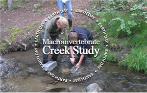 Macroinvertebrate Creek Study 2026