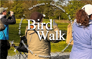Bird Walk in the Parklands