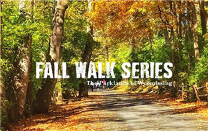 Fall Walk 2026